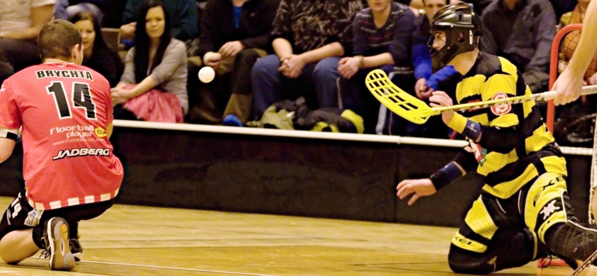 Pe.A   PArdubice 16.2.2013 (79)